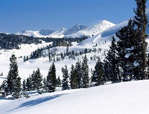 Tioga Pass