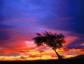 Sunrise Palmdale