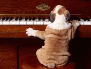 Play It Again sam