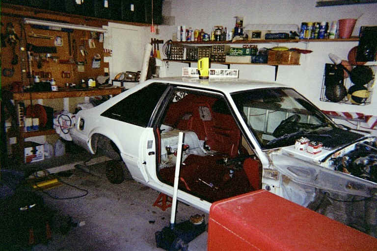 Donor Mustang
