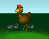 A Chicken