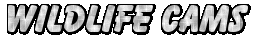 RTW Wildlife Cams