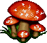 A majic mushroom