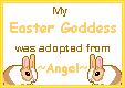 To
~Angel~
