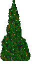 glittering pine