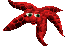 starfish