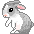 Some bunny likes you!