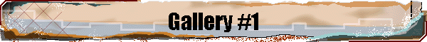 Gallery #1