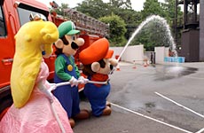 大きな美しい弧