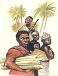 negro.jpg (9743 bytes)