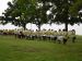 DSC02186.jpg