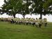 DSC02189.jpg