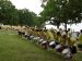 DSC02208.jpg