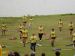 DSC02218.jpg