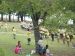 DSC02235.jpg