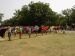 DSC01870.jpg