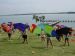 DSC01903.jpg