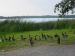 DSC01729.jpg