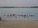 DSC01805.jpg