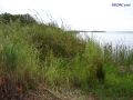 DSC02154.jpg