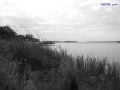 DSC02155.jpg
