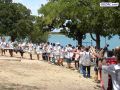 DSC02207.jpg