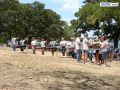 DSC02242.jpg