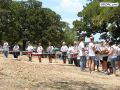 DSC02246.jpg