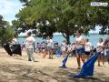 DSC02255.jpg