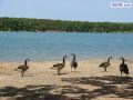 DSC01163.jpg