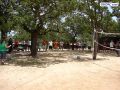 DSC01182.jpg