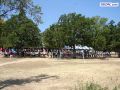 DSC01845.jpg