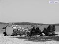 DSC01987.jpg