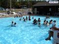 DSC02050.jpg
