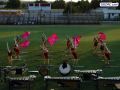 DSC02078.jpg