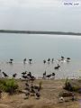 DSC01288.jpg