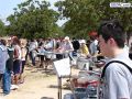 DSC01331.jpg
