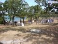 DSC01488.jpg