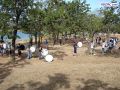 DSC01489.jpg