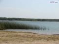 DSC01513.jpg