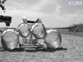 DSC01589.jpg
