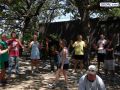 DSC01617.jpg
