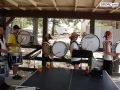DSC01662.jpg