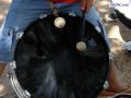 DSC01686.jpg