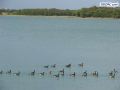 DSC01733.jpg