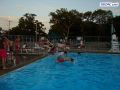 DSC01768.jpg