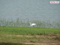 DSC03708.jpg