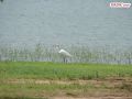 DSC03709.jpg