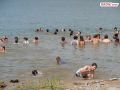 DSC03754.jpg