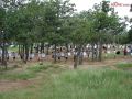 DSC03828.jpg
